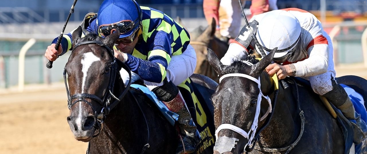 Iron Orchard wins the Frizette at Aqueduct.