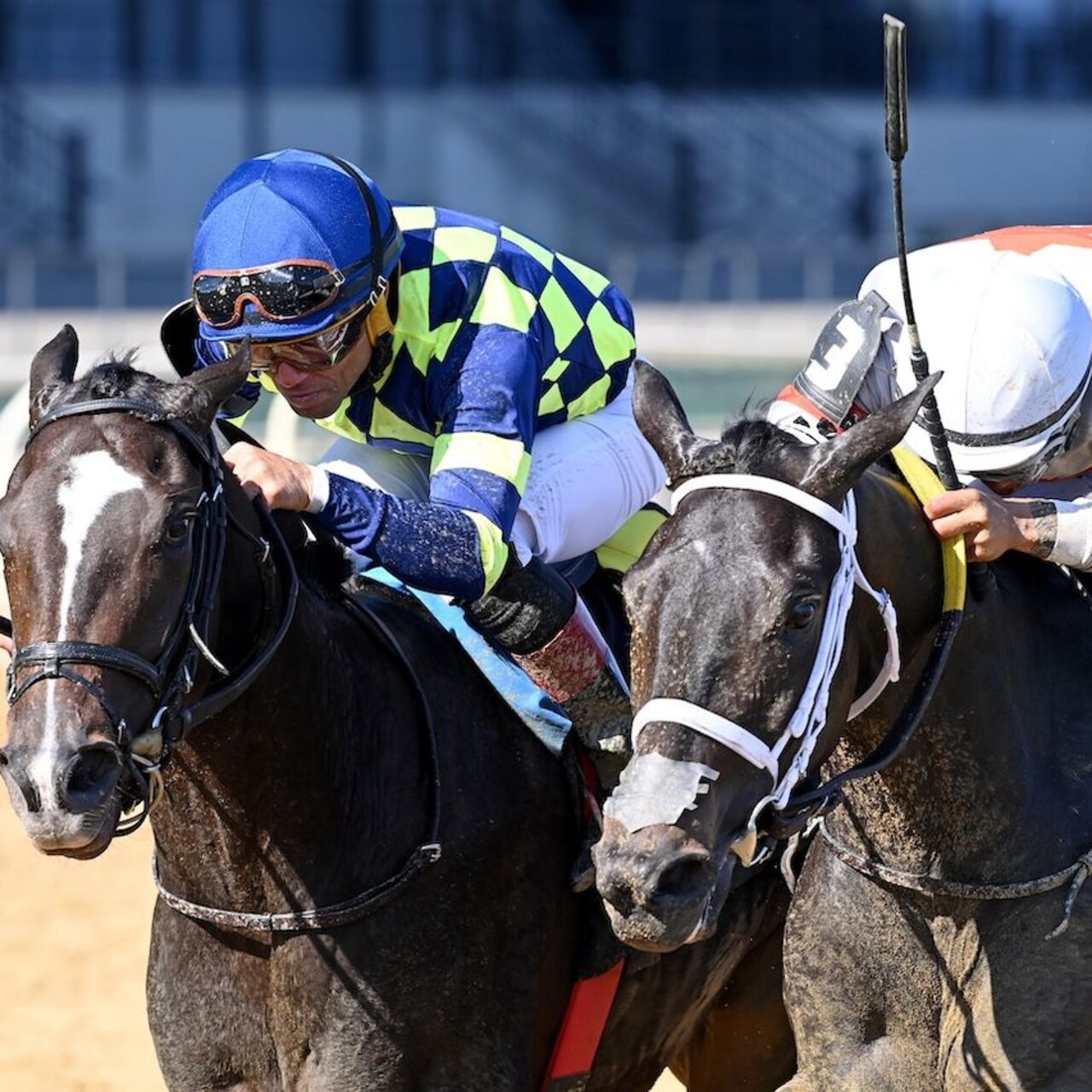 Iron Orchard wins the Frizette at Aqueduct.