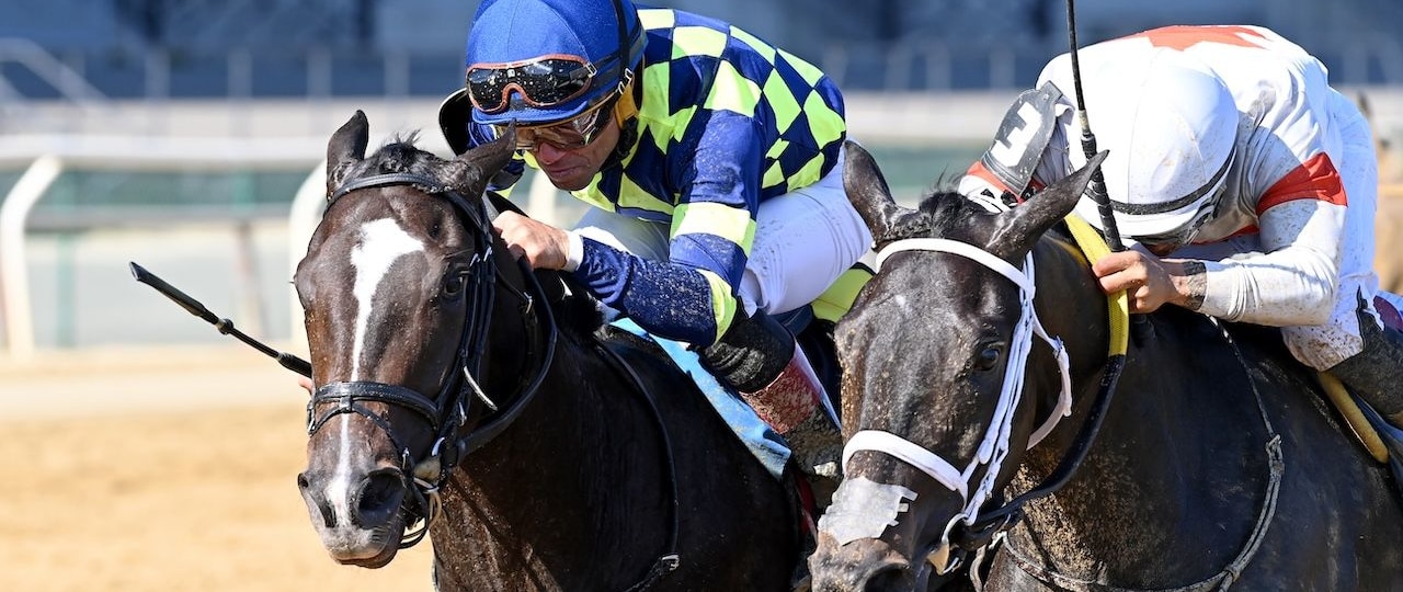 Iron Orchard wins the Frizette at Aqueduct.