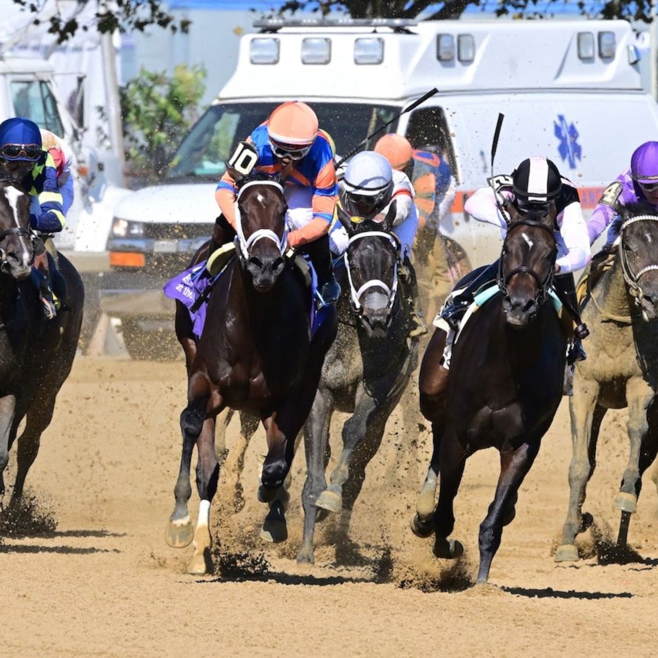 Iron Orchard wins the Frizette at Aqueduct.