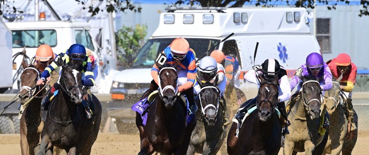 Iron Orchard wins the Frizette at Aqueduct.