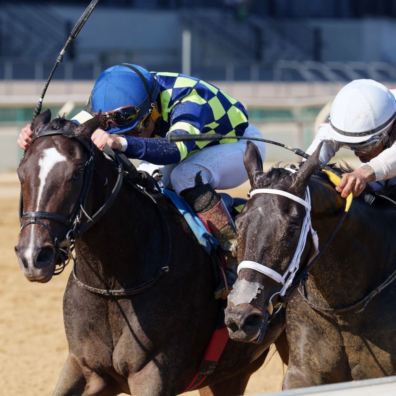 Iron Orchard wins the Frizette at Aqueduct.