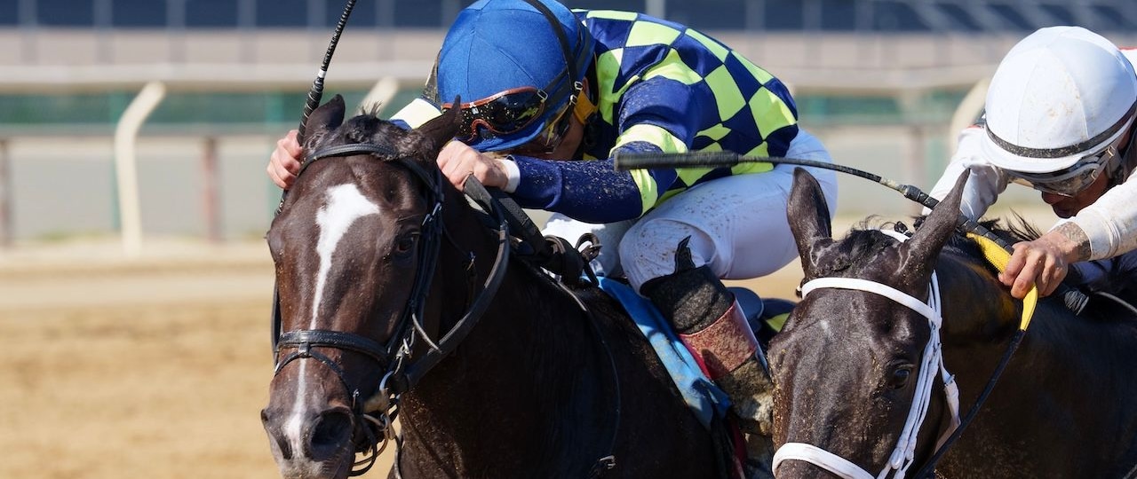Iron Orchard wins the Frizette at Aqueduct.