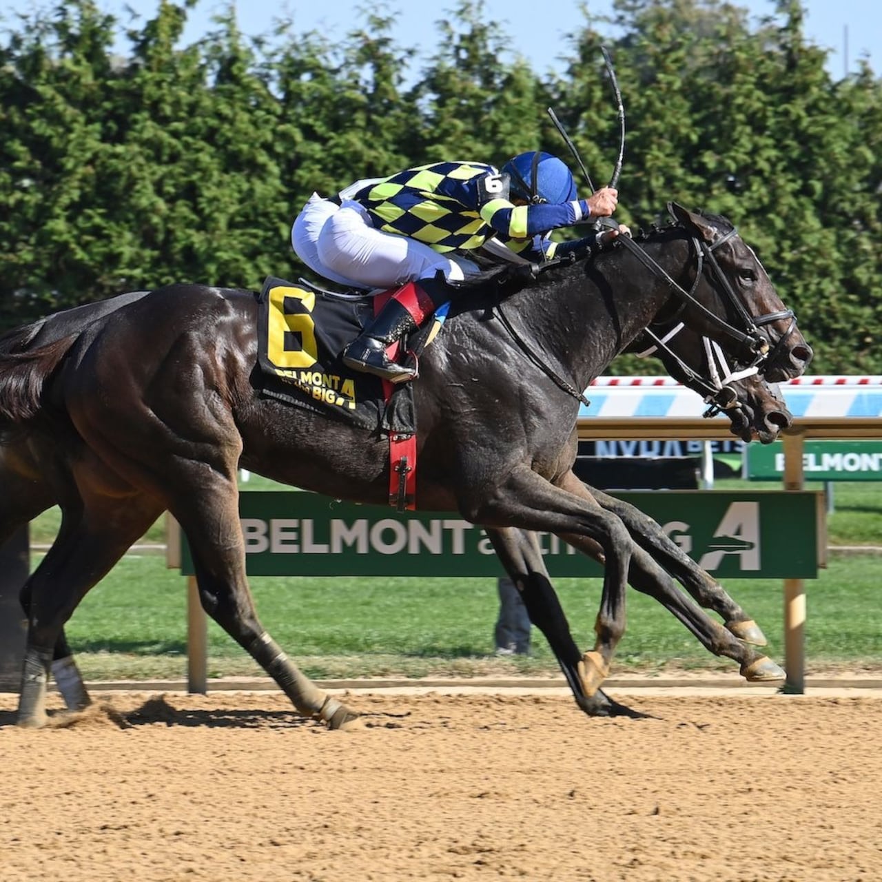 Iron Orchard wins the Frizette at Aqueduct.