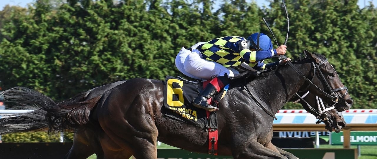Iron Orchard wins the Frizette at Aqueduct.