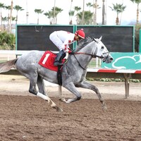 Itsmybirthday wins at Turf Paradise. 