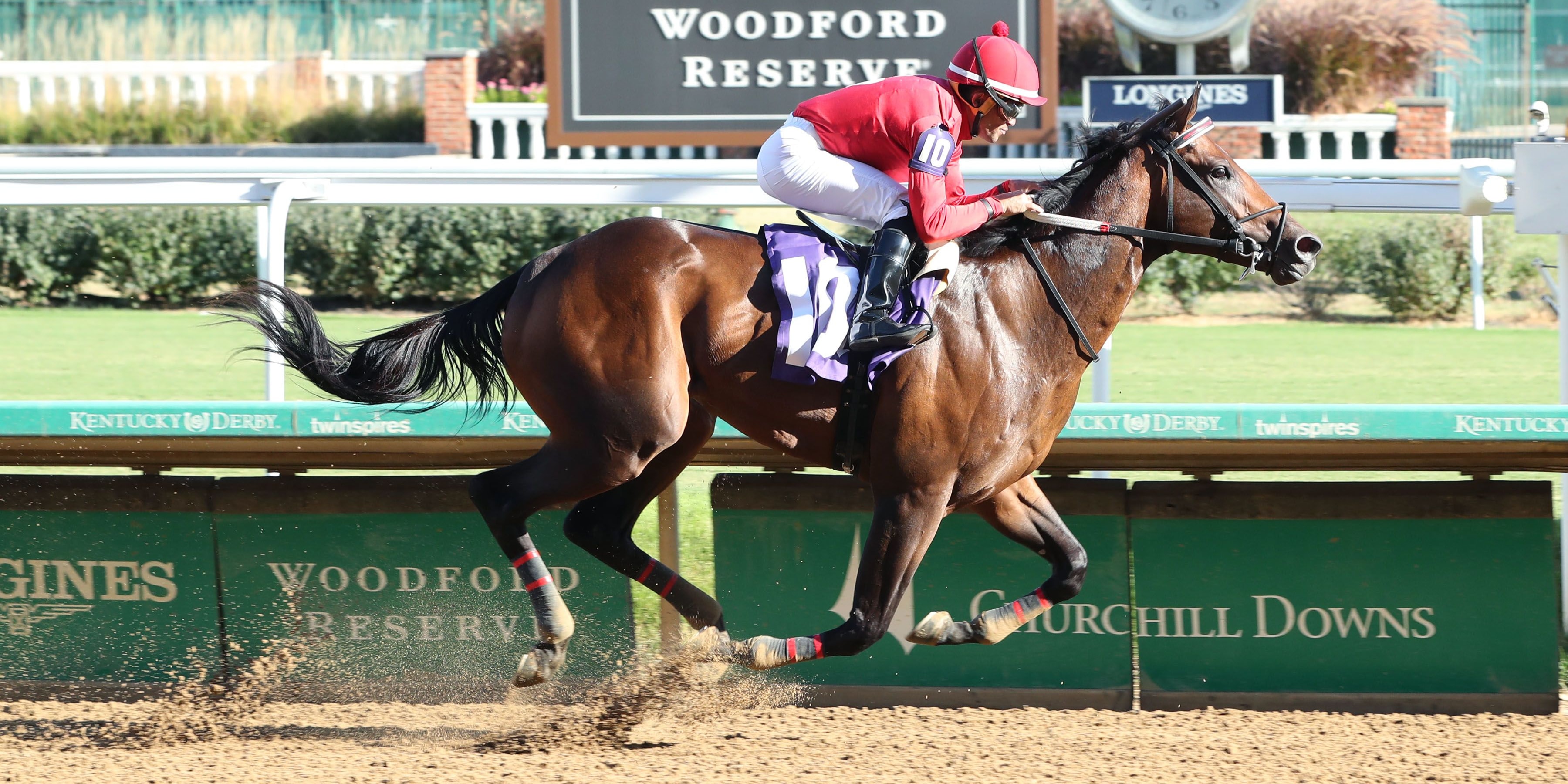 Jonathan's Way (Photo by Coady Media)