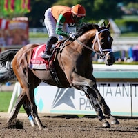 Journalism winning the 2025 Santa Anita Derby (G1) at Santa Anita