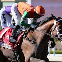 Journalism winning the 2025 Santa Anita Derby (G1) at Santa Anita