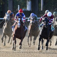 Racing at Belmont Park.