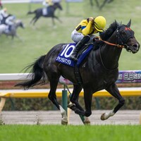 Jantar Mantar stalked and pounced in the Yasuda Kinen