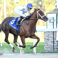 John Hancock winning the Sam F. Davis S. at Tampa Bay Downs (Photo by SV Photography)