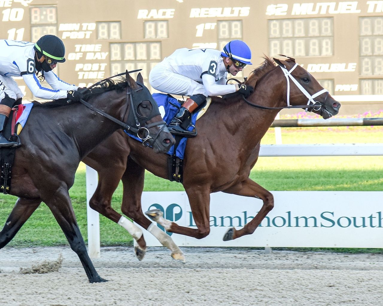 John Hancock winning the Sam F. Davis S. at Tampa Bay Downs (Photo by SV Photography)