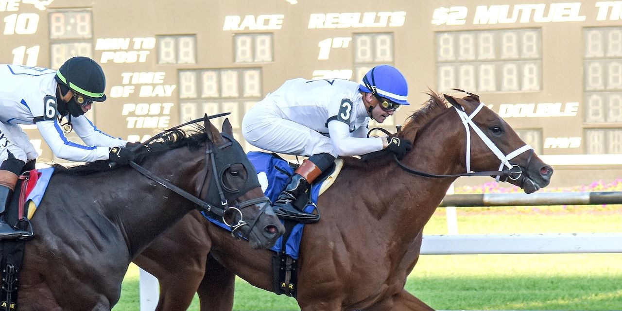 John Hancock winning the Sam F. Davis S. at Tampa Bay Downs (Photo by SV Photography)