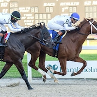 John Hancock winning the Sam F. Davis S. at Tampa Bay Downs (Photo by SV Photography)