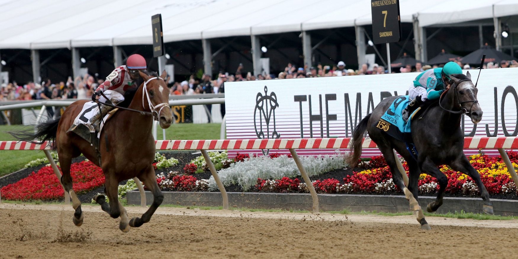 Gosger about to be collared by Journalism in the Preakness