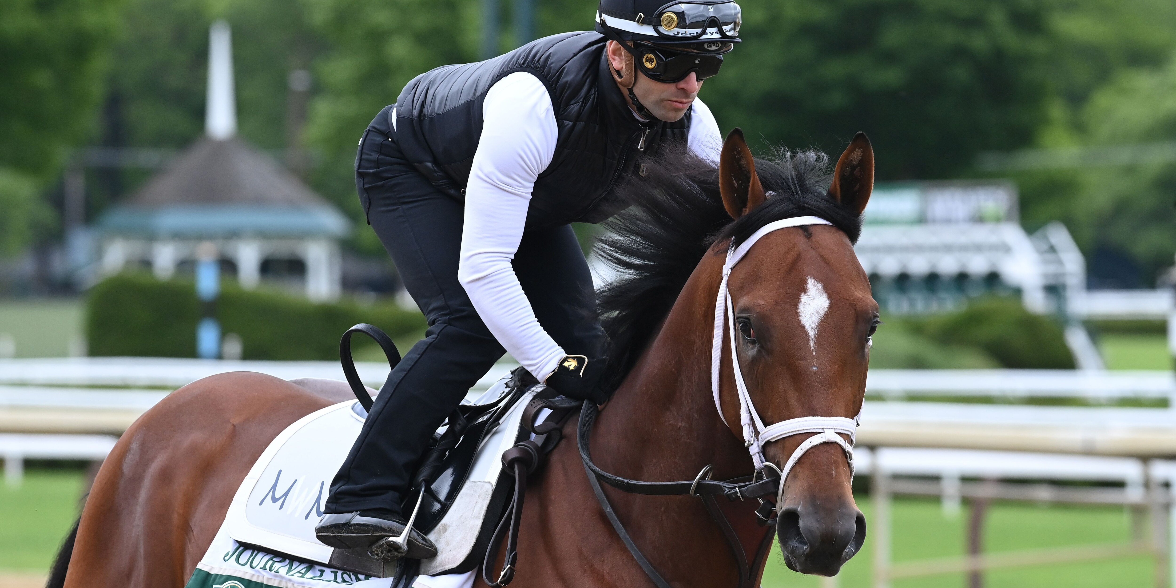 Journalism trains at Saratoga for Belmont Stakes 2025 (photo by Coglianese Photos)