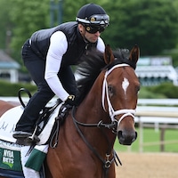 Journalism trains at Saratoga for Belmont Stakes 2025 (photo by Coglianese Photos)