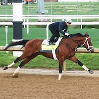 Journalism working at Churchill Downs (Photo by Coady Media)