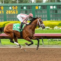 Journalism winning the Los Alamitos Futurity (G2) at Los Alamitos (Photo by Benoit Photo)