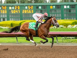 Journalism winning the Los Alamitos Futurity (G2) at Los Alamitos (Photo by Benoit Photo)