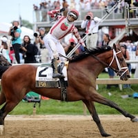 Journalism uncorks a dramatic rally in the Preakness