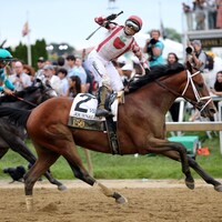 Journalism wins Preakness Stakes 150 at Pimlico (Horsephotos.com)