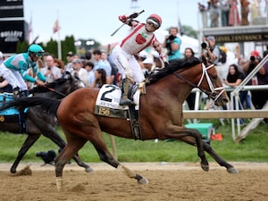 Journalism wins Preakness Stakes 150 at Pimlico (Horsephotos.com)