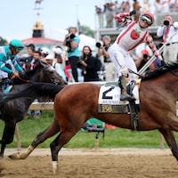 Journalism rallies furiously in the Preakness