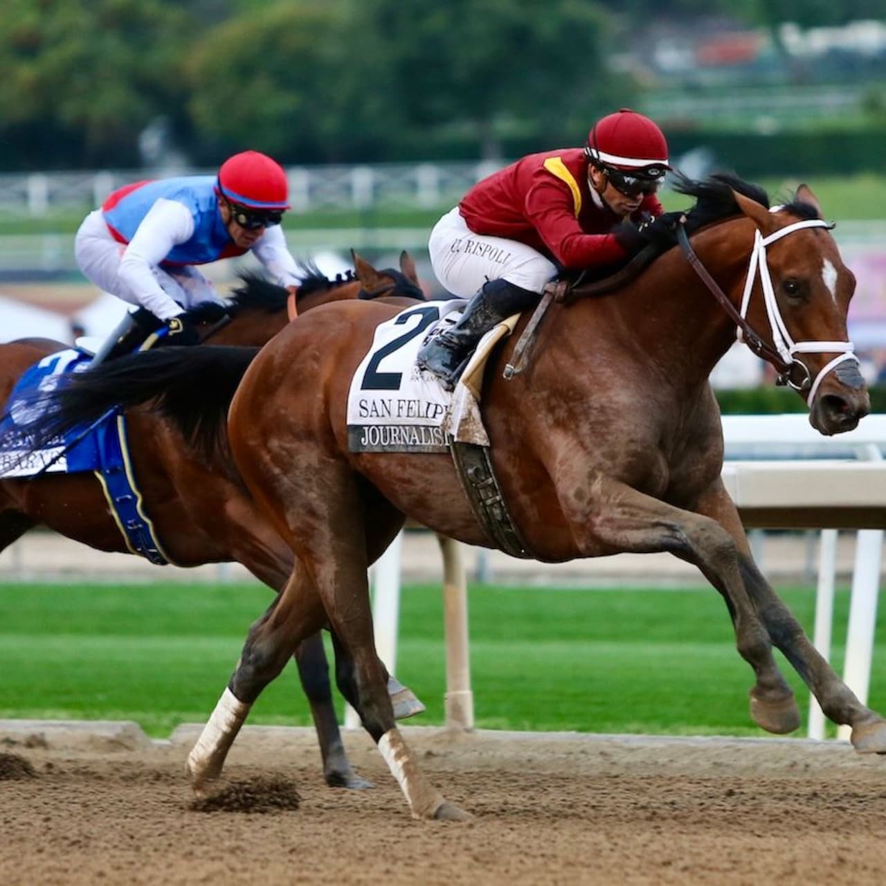 Journalism, who exits a win over Barnes in the San Felipe, will make his final Kentucky Derby prep in the Santa Anita Derby