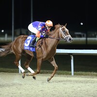 Julia's Dream wins the Gowell S. at Turfway Park.