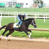 Just a Touch working toward the 2024 Kentucky Derby