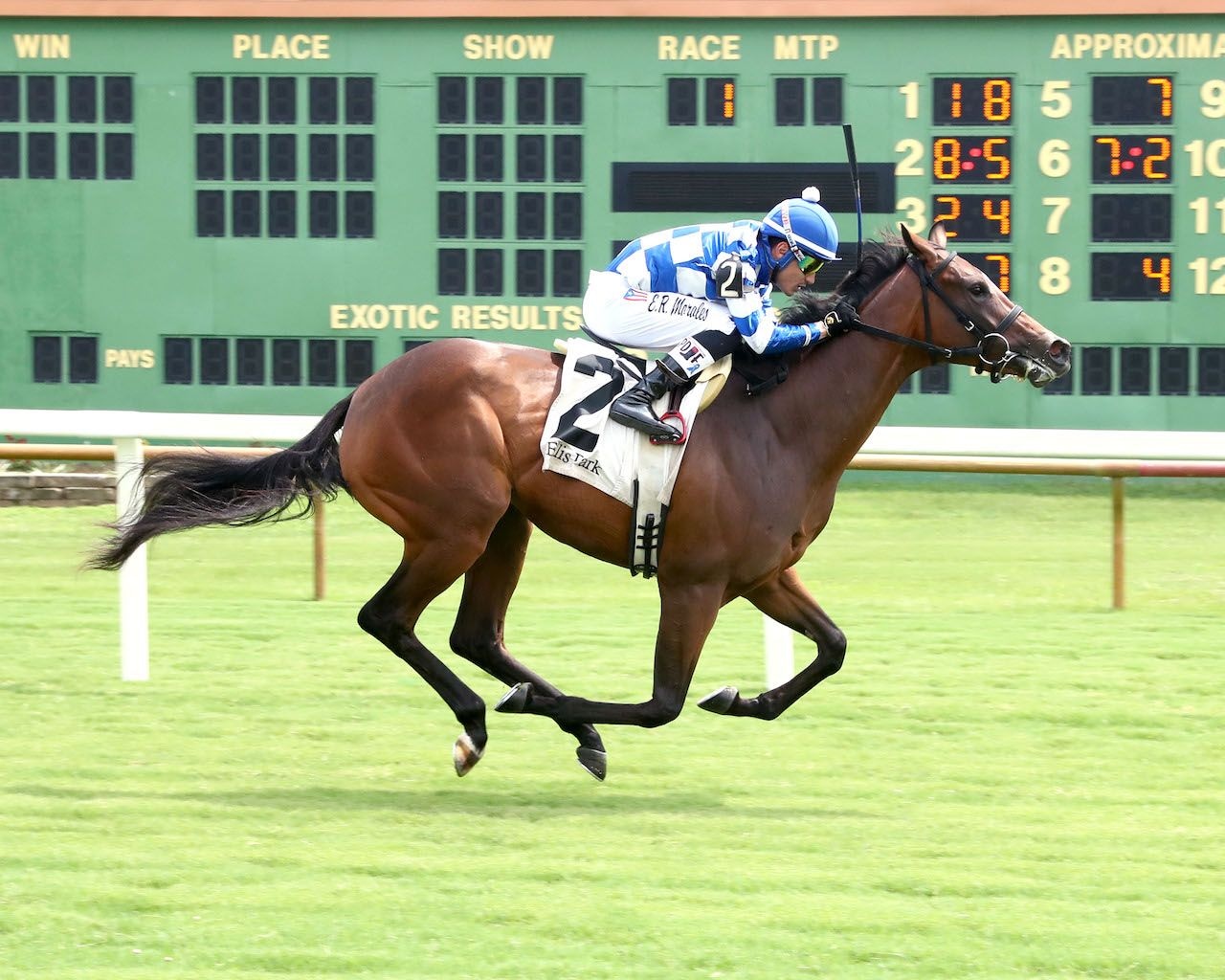 Kilwin wins at Ellis Park.
