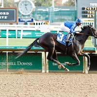 Knightsbridge winning his debut at Churchill Downs (Photo by Coady Photography)