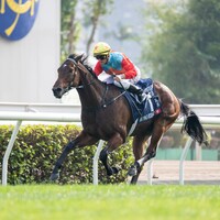 Ka Ying Rising wins the Hong Kong Sprint
