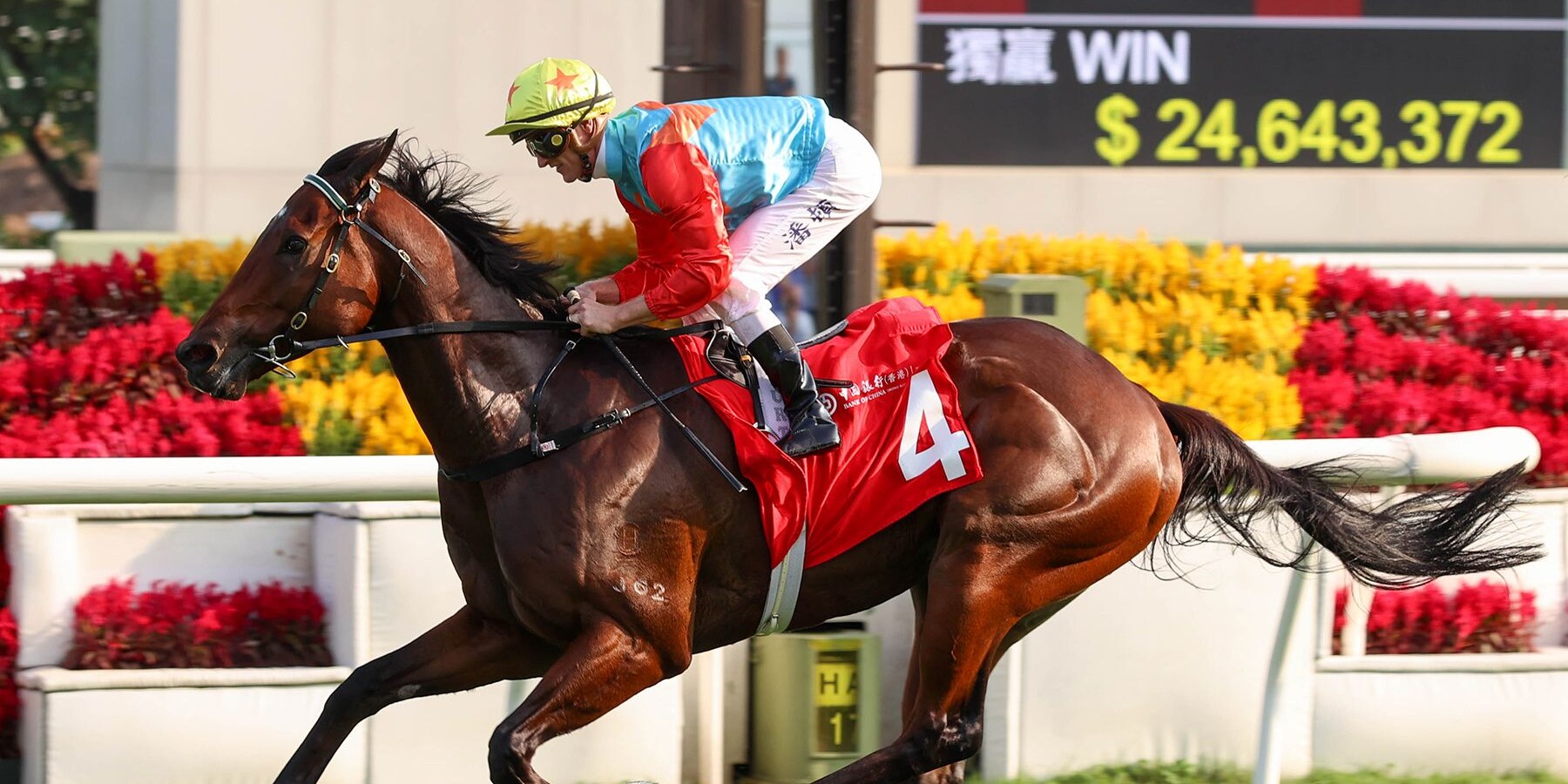 Ka Ying Rising smashes the Sha Tin course record in the Jockey Club Sprint (Photo by Hong Kong Jockey Club)