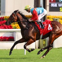 Ka Ying Rising smashes the Sha Tin course record in the Jockey Club Sprint (Photo by Hong Kong Jockey Club)