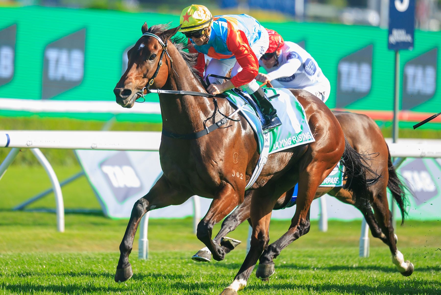 Ka Ying Rising wins The Everest (G1) at Randwick