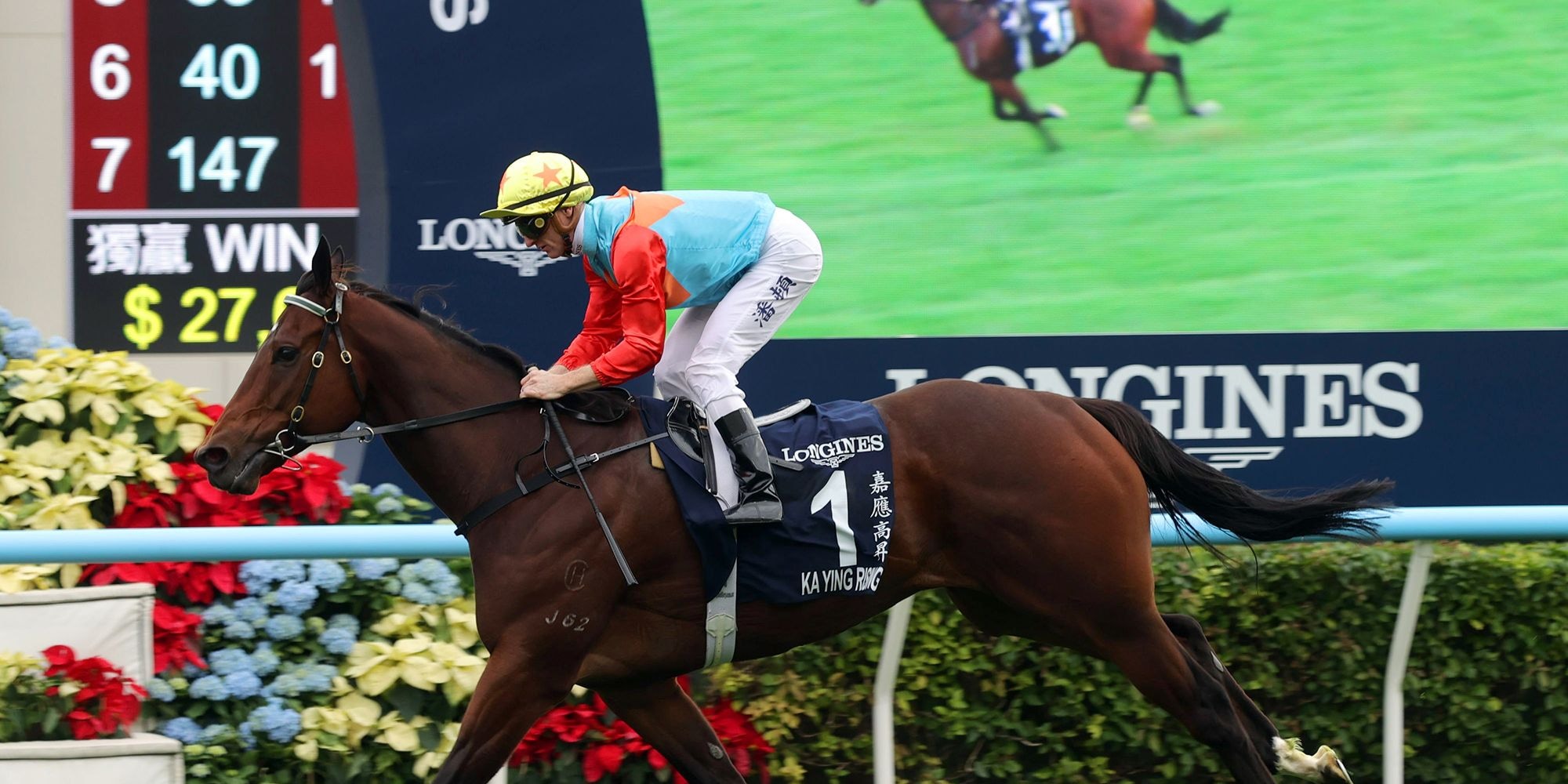 Ka Ying Rising made it look easy when repeating in the Hong Kong Sprint (G1)