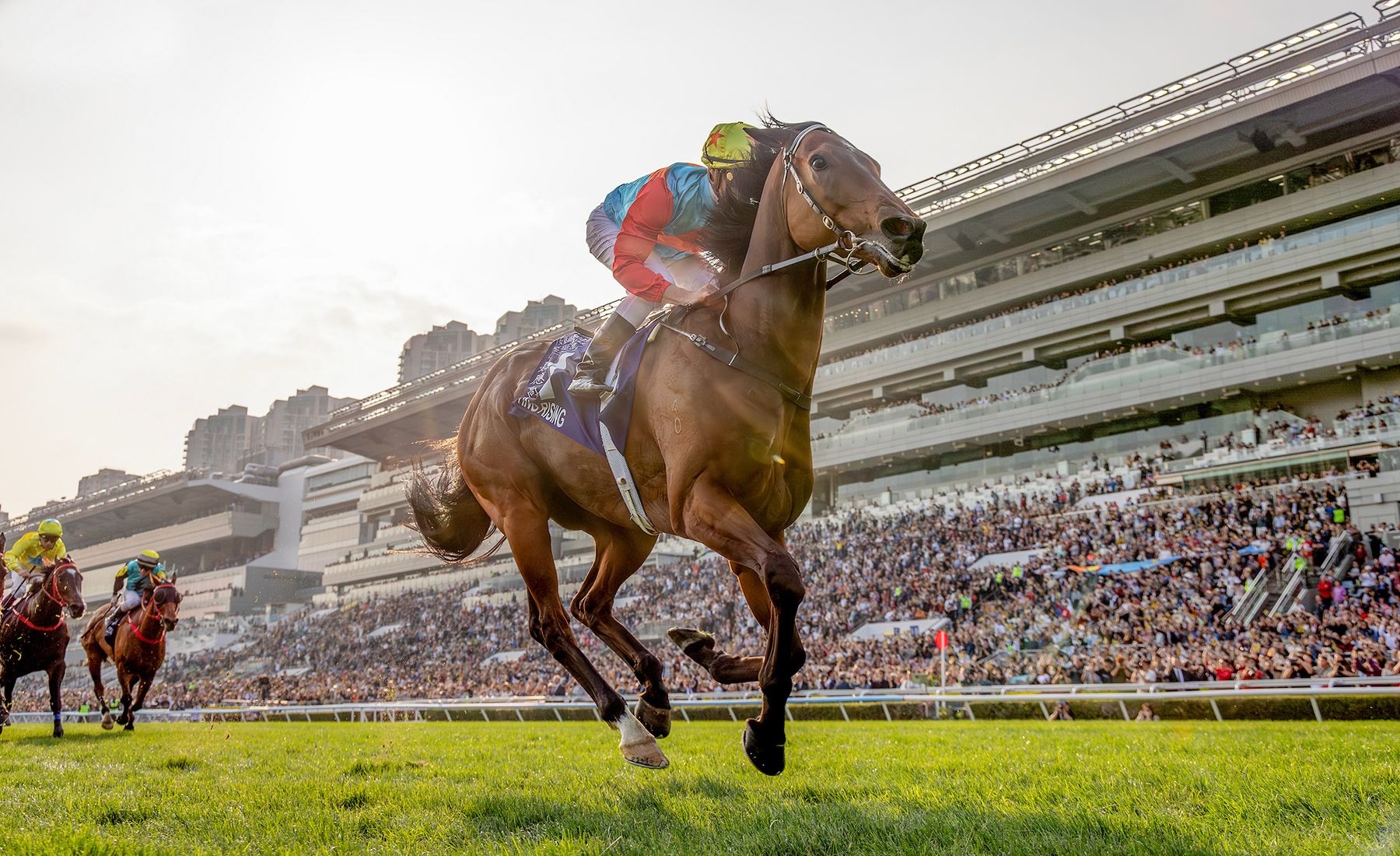 Ka Ying Rising passed the Silent Witness statue en route to eclipsing his winning streak