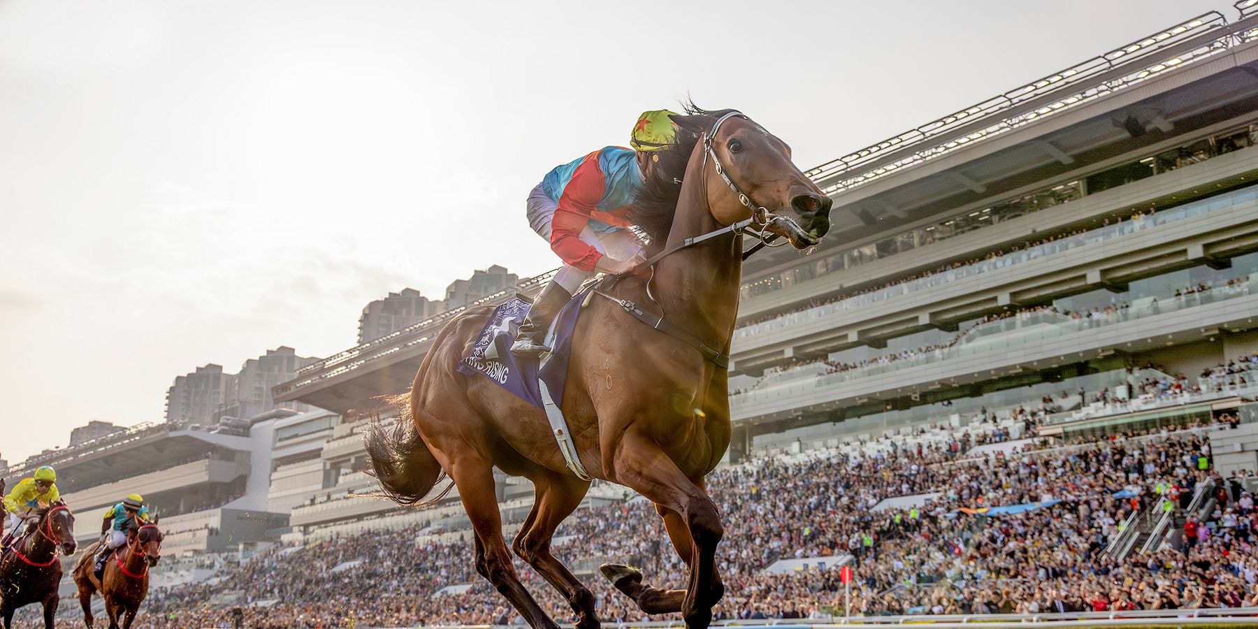 Ka Ying Rising passed the Silent Witness statue en route to eclipsing his winning streak