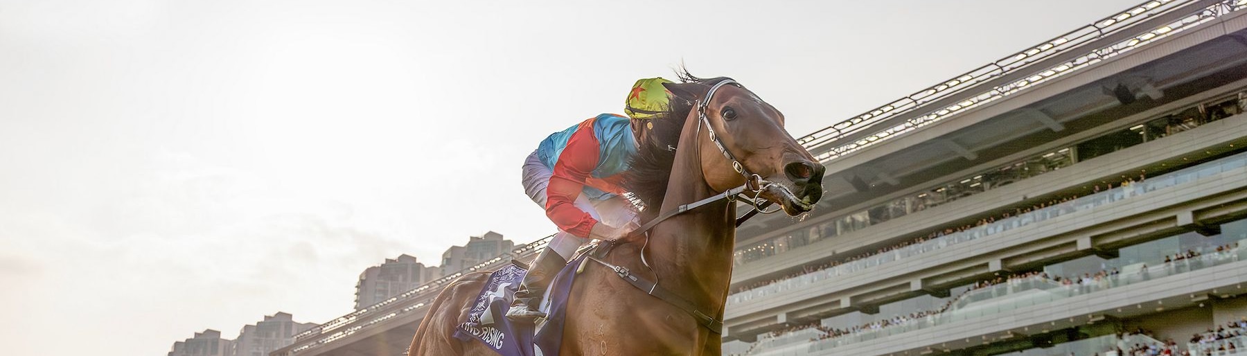 Ka Ying Rising passed the Silent Witness statue en route to eclipsing his winning streak