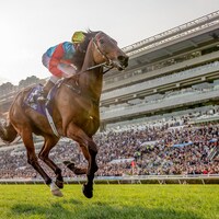 Ka Ying Rising passed the Silent Witness statue en route to eclipsing his winning streak
