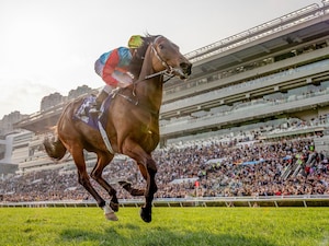 Ka Ying Rising passed the Silent Witness statue en route to eclipsing his winning streak