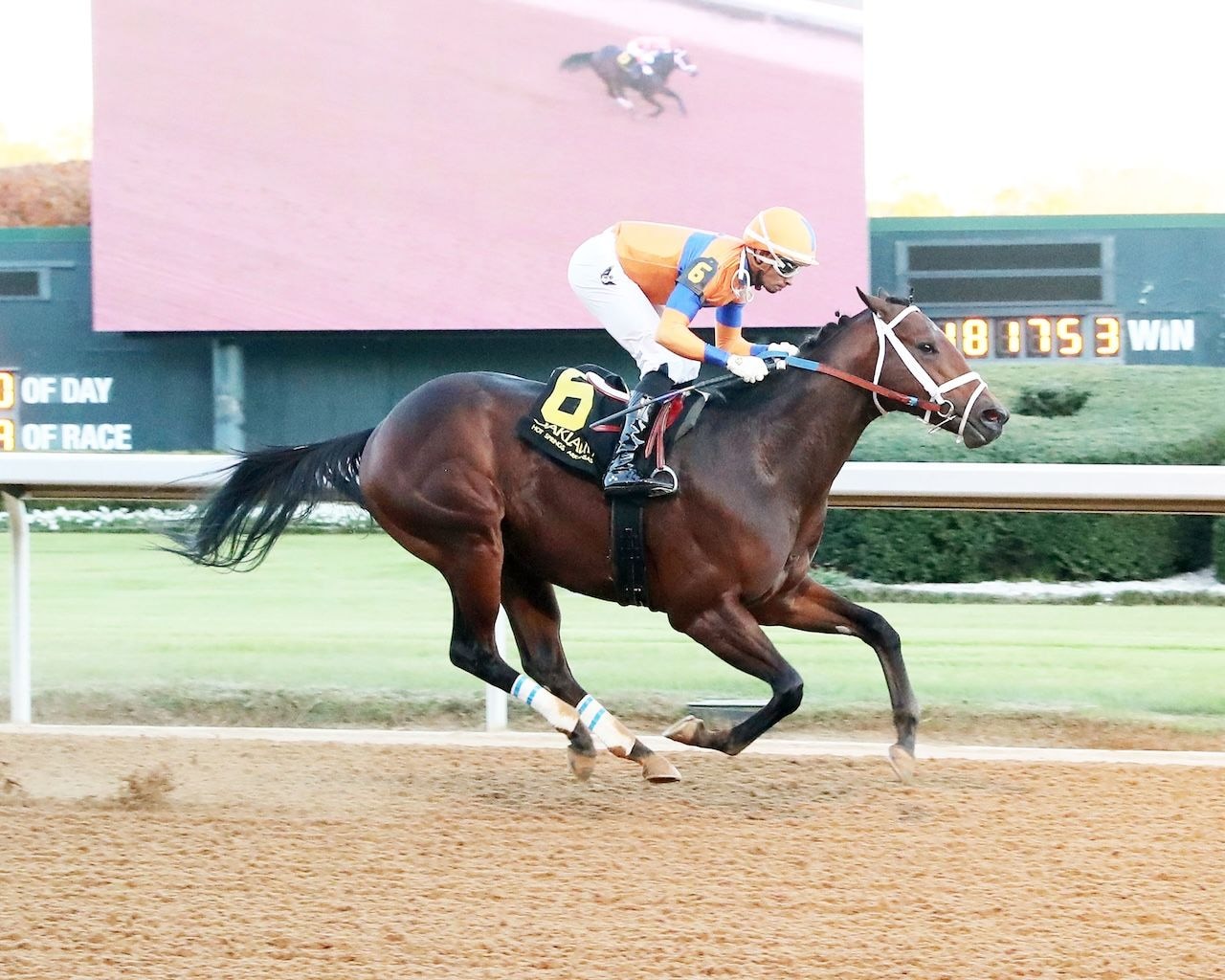 Kale's Angel wins the Advent Stakes at Oaklawn Park. 