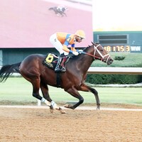 Kale's Angel romps in the Advent S. at Oaklawn Park