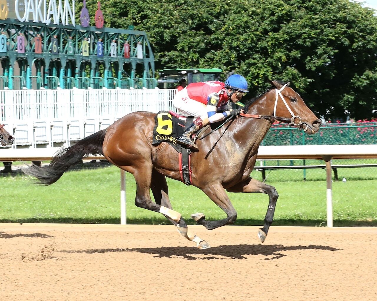Kantex wins the Natural State Breeders Stakes at Oaklawn Park.