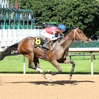 Kantex wins the Natural State Breeders Stakes at Oaklawn Park.