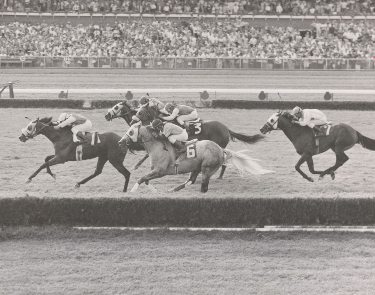 Run the Ganlet with Bob Woodhouse up, winning the Kelly Olympic Hcp at Atlantic City.