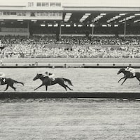 Run the Ganlet with Bob Woodhouse up, winning the United Nations Hcp in Atlantic City in 1971.